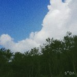[댓글부탁해] 나 최우수상이래 <b>꺄오</b>옼