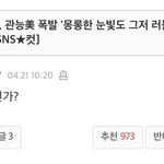 [드루와] 설리 죽음이 안타까운 한 댓글러