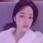 [설리야고생] <b>진리</b>야 그동안 수고했어