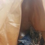 도움이 필요합니다. 한번 씩 읽어봐 주세요