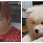 [강다니엘] <b>도로</b>멈무