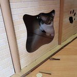 숨숨집이 좋다<b>옹</b>