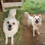 다시는 길가에 내몰리고 싶지 않았던 <b>초롱</b>이와 뭉치