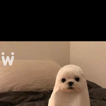 급해 ㅜㅜㅜ 200일 선물 어때 얘드라ㅜㅜ