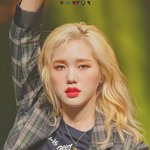 옴걸 <b>미미</b> 머리 레전드다