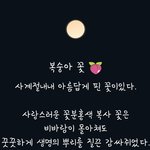 [설리] 설리를 위해 <b>지은</b> 자작시