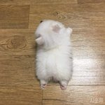 [댓글부탁해] <b>눈</b> 이쁘다 하는 사람 <b>사진</b>좀