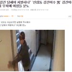 [19] 얘들아 이거봐 우리나라 미쳤어