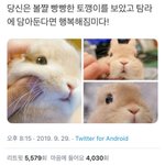 [조언부탁해] 할아버지가 돌아가셨는데