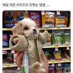 [댓글부탁해] 에스쁘아 쿠션/<b>파데</b> 여드름 잘 가려짐?