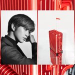 [강다니엘] 에스콰이아 공식인별