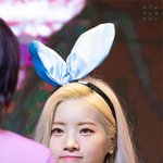 인간 <b>마시</b>멜로우 아이돌