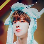 되게 <b>아련</b>한데 영롱한 아이돌