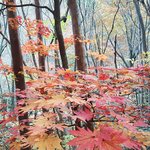 [꼭조언부탁] 등산을 통해 만난 유부남과의 만남을 대수롭지 않게...
