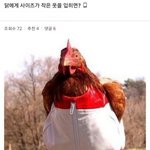 <b>인싸</b> 되는 법 알려줌ㅋㅋㅋㅋㅋㅋ