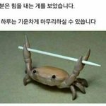 [이것좀봐줘] 아 진짜 제발 해주세요..