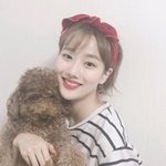 [조언부탁해] <b>캐리어</b> 짐 도와줘