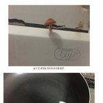 [댓글부탁해] <b>버섯</b> 후기 레전드