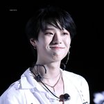 고양이들은 왜 <b>졸지</b>?