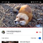 <b>여우상</b> 여자있어?