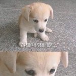 [드루와] 근데 프로필 뮤직에 <b>의미부여</b> 하는거