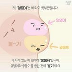 엉덩이 <b>궁둥이</b> 차이.jpg