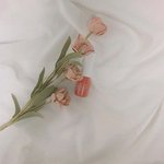 [댓글부탁해] <b>의사요한</b> 본사람