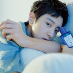[댓글부탁해] <b>찬열</b> 향수 화보 너무 좋타