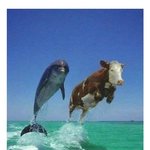 [댓글부탁해] 얘<b>드랍</b> 이거 해봐