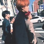 [NCT] 이 <b>사진</b> 어디서 나온거야??