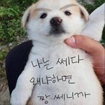 바람막이 11월에 <b>사면</b> 늦어?