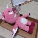 [댓글부탁해] 대학교 면접 간다고 공결처리된 거