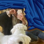 [댓글부탁해] 친구 허락받고 <b>올림</b>