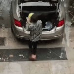 [19] <b>감옥</b> 1년에 10억 갈 수 있냐
