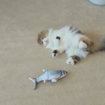 [드루와] 이제 <b>전썸남</b> 스토리 봐도 되겠지