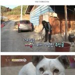 [댓글부탁해] <b>전설</b>의 바람둥이