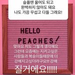 [댓글부탁해] <b>설리</b> 자기 팬한테 답장해줬던거 슬프다