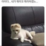 너넨 <b>공부</b> 진짜 하기싫을 <b>때</b> 어떻게해?