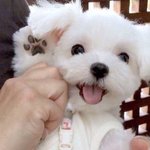 졸라힘들다