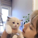 블핑 블랙핑크 <b>리사</b>