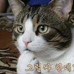 [모두드루와] 음원차트, 진정한 개혁하려면