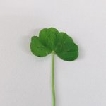 힘든 아침.. 지하철에서 만난 할아버지 <b>덕분</b>에 잊을 수 있었어요~