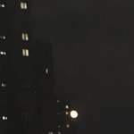 [모두드루와] 네이버 <b>실검</b> 요즘 왜이래?