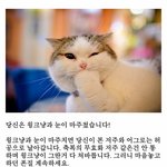 [댓글부탁해] 아는언니 계획적 <b>자살</b>이었을까