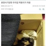 <b>분양</b>사기.jpg