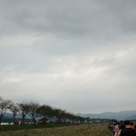 [댓글부탁해] 폰보며