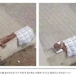 [댓글부탁해] 이 외로운 마틸다 <b>티키</b>타 리듬에 맞춰 스핀