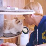 [강다니엘] 이 분위기 차이 오뚜캐