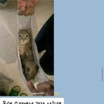 [모두드루와] 동네 슈퍼에서 과자사다가 <b>간택</b>당함