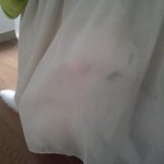 [고양이] 렌지랑 <b>두유</b> 2